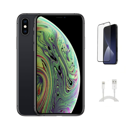 Refurbished Apple iPhone XS A1920 (Fully Unlocked) 256GB Space Gray (Grade B) w/ Pre-Installed Tempered Glass